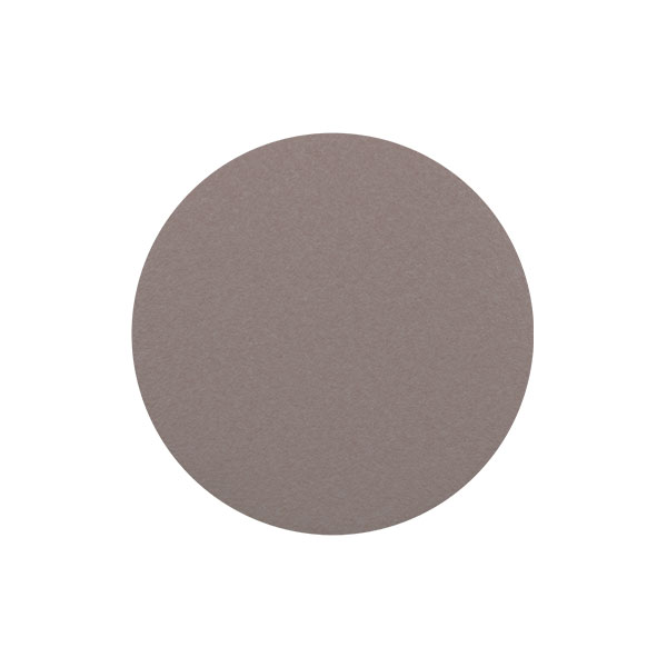 Sanding Disc F.19